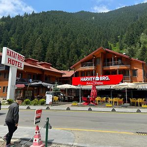 Hayat Rose Hotel